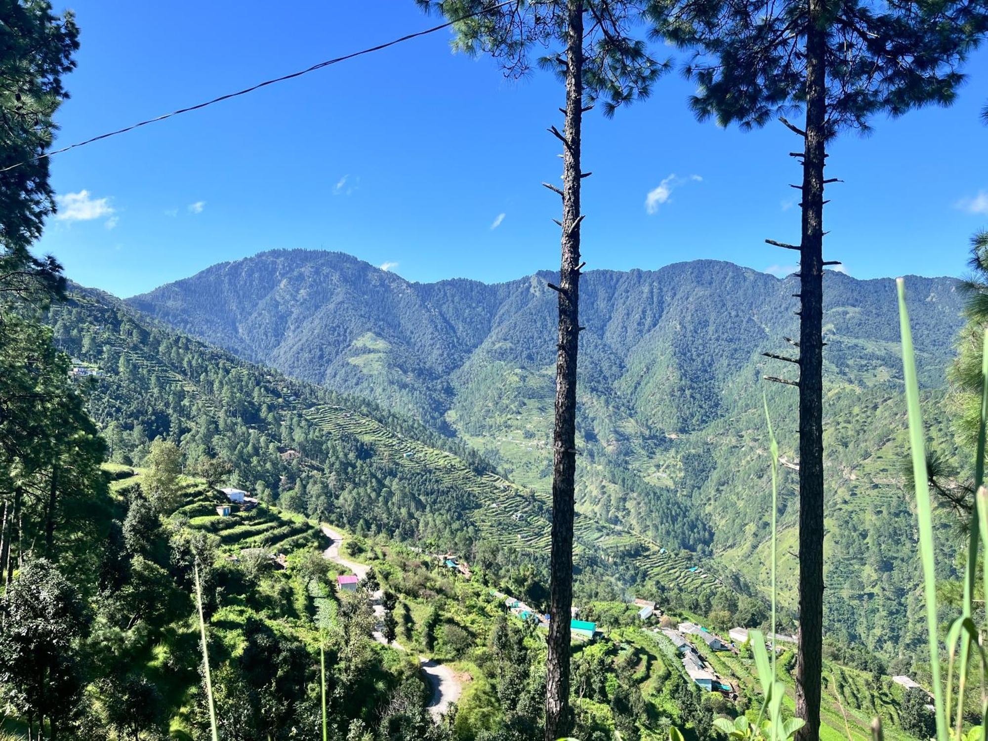 Himalayan Hill Top Resort Kanatal Εξωτερικό φωτογραφία