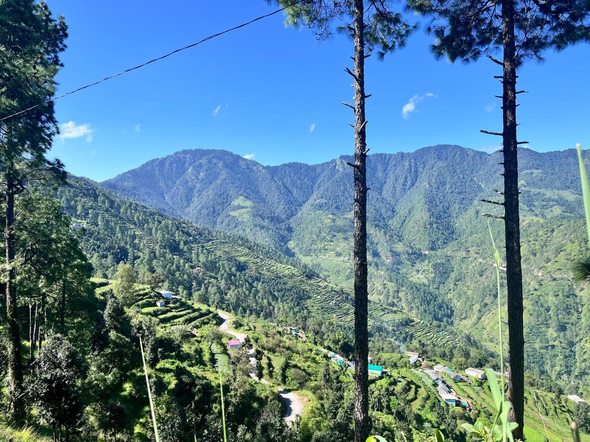 Himalayan Hill Top Resort Kanatal Εξωτερικό φωτογραφία